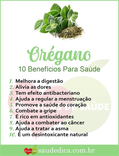 Os 10 Benefícios do Orégano Para Saúde Chás medicinais Dicas de