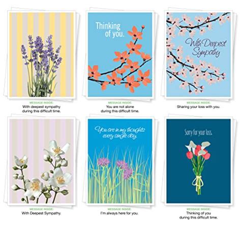 Assorted Sympathy Cards, Set of 6 Greeting Cards – Office Junky