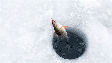 Devils Lake Ice Fishing Your Comprehensive Guide