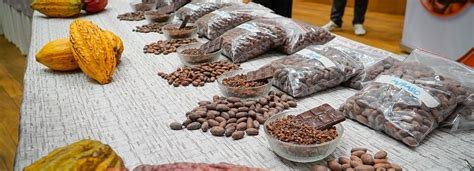 Exportaciones De Cacao Boliviano Y Preparaciones Alcanzaron Récord De Casi Us 3 Millones En