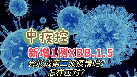 中疾控通报1例xbb15变异毒株，会不会造成第二波疫情高峰？如何应对？ Youtube