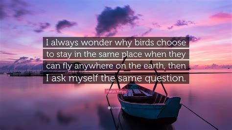 Harun Yahya Quote: “I always wonder why birds choose to stay in the
