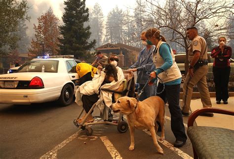 Camp fire's death toll mounts in Paradise as the search for victims ...