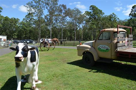 White Ridge Farm | Ausbl.com - Australian Blog