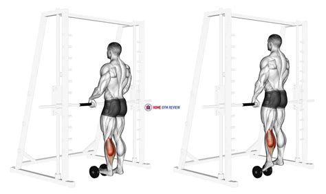 Single Leg Calf Raise On A Dumbbell Home Gym Review