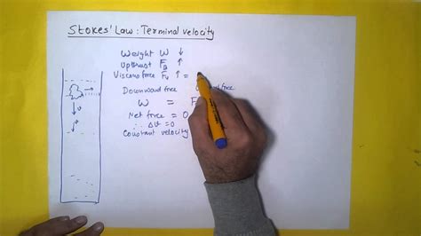 Stokes Law And Terminal Velocity Youtube