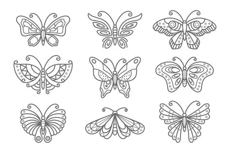 Premium Vector Linear Flat Butterfly Outline Pack In 2024 Butterfly Outline Coloring Pages