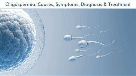 Oligospermia Low Sperm Count Causes Symptoms Treatment