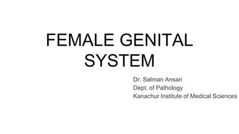 Female Genital System Fibroid Cervical Cancer Endometrial Cancer