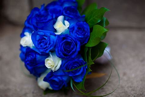 Bouquet Bridal: Blue Rose Bridal Bouquet