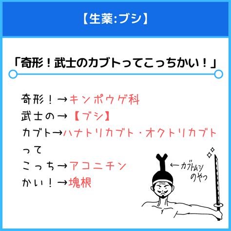 ブシの科名、薬用部位、成分のゴロ（覚え方）｜薬学ゴロ 薬学部はゴロでイチコロ！