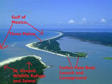 16 best St Vincent Island _ St Vincent National Wildlife Refuge images ...