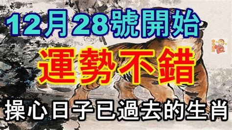 12月28號開始，運勢不錯，操心日子已過去的生肖！ Peekme