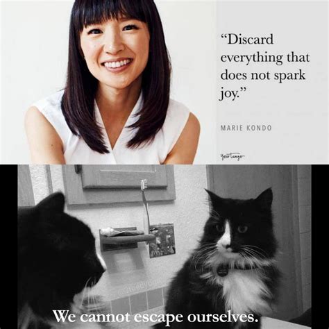 Facts of life : r/meme