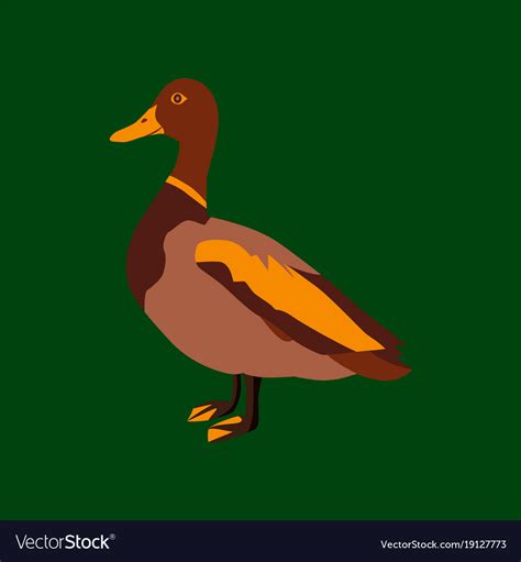 In flat style of wild duck Royalty Free Vector Image