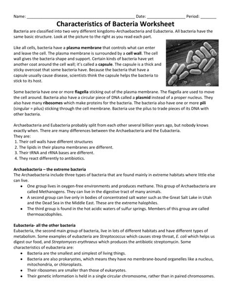 Morphology Of Bacteria Worksheet