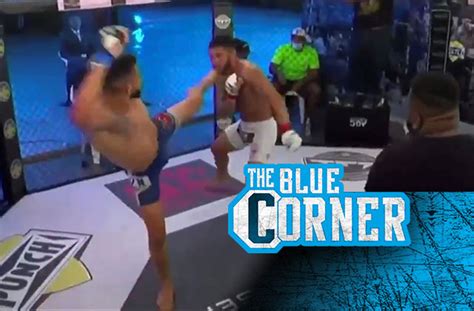 Video: Question mark kick flattens MMA fighter for KO