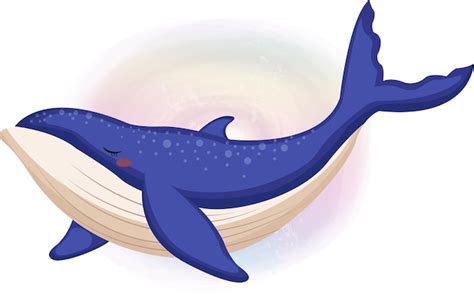 Premium Vector | Vector a cute whale cartoon