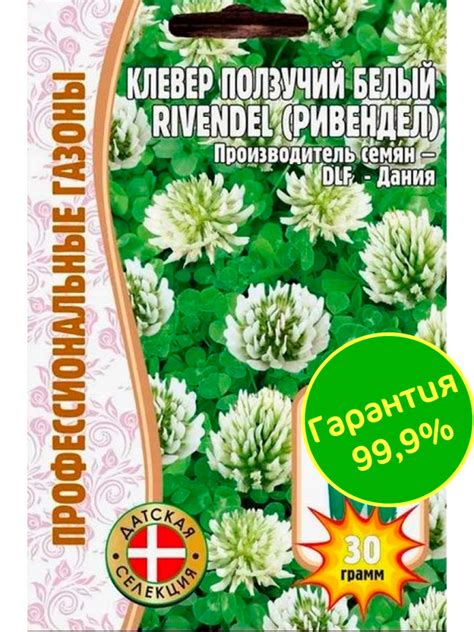 Клевер Белый ползучий [Семена редких растений] купить в интернет ...