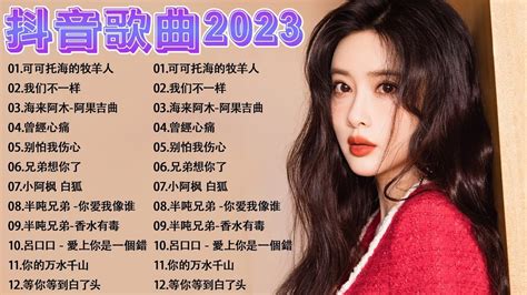 2023流行中文歌曲好听的中文歌曲 2023年和2024年最流行的近期中文歌曲 2023年11月最流行的歌曲 流行中文歌曲2023 点歌的人 等你等到白了头 累了痛了就放手 Youtube