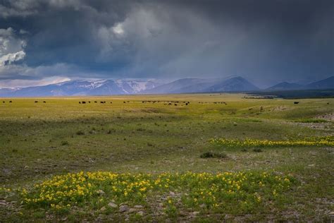 Land Board approves purchase of Big Snowy Mountains Wildlife Management ...