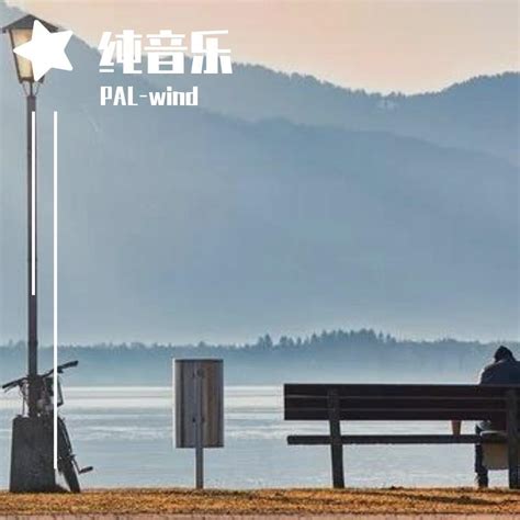 起风了纯音乐 Pad Wind 单曲 网易云音乐