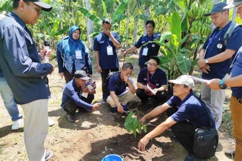 Dinas Perkebunan Kukar Ikuti Bimtek Budidaya Dan Pengolahan Kakao Di