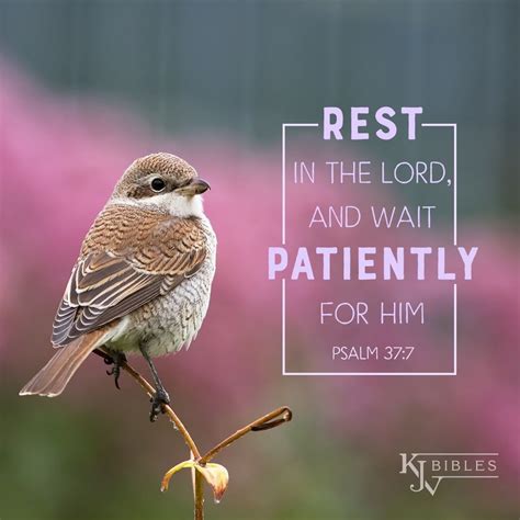 Rest In The Lord And Wait Patiently For Him Psalm King James