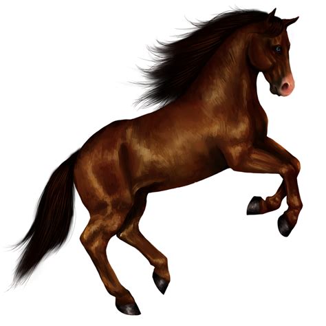 Png Of Horse All Images Is Transparent Background And Free Download