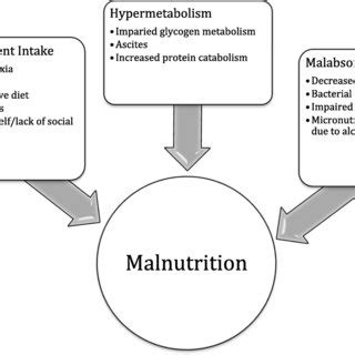 Contributing factors to the development of malnutrition in advanced ...