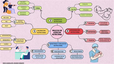 Mapa Mental Proceso De Alimentacion Nutricional Rosa Rosario Udocz