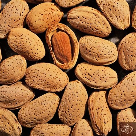 In Shell Raw California Almonds 2 Lbs Farm Fresh Nuts Brand Vegan