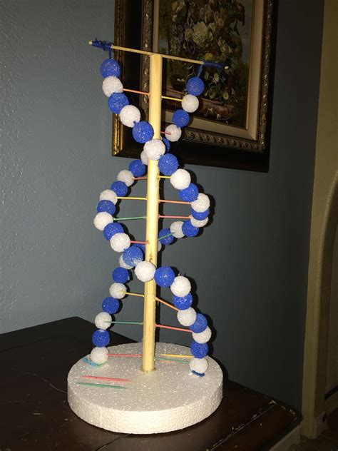 Dna Helix My Daughter And I Created The Helix With Foam Balls String