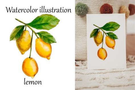 Watercolor Illustration of Lemon. Graphic by Novaart · Creative Fabrica