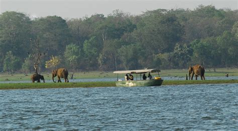 Resorts In Kabini Kabini Resorts Jungle Lodges