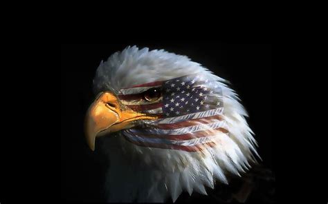 American Flag Eagles Wallpapers - Top Free American Flag Eagles