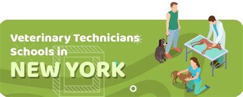 Veterinary Technician Schools In New York Licensing And Salary Info