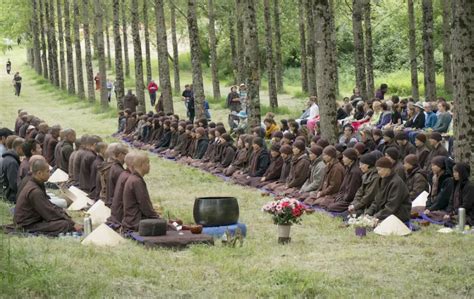 Top 10 Best Meditation Retreats In France Lotusbuddhas