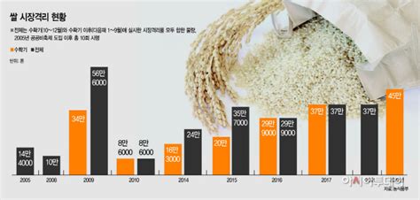 쌀값 45년 만에 최대 폭락1조 들여 방어선 구축 네이트 뉴스