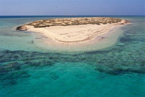 Snorkel Em Sharm El Luli E Em Wadi El Qulaan Saindo De Marsa Alam