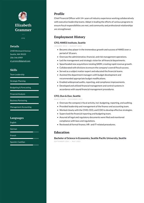 Cfo Resume Examples And Templates 2025 ·