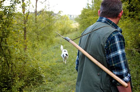 Truffle Hunting – Torciano Magazine