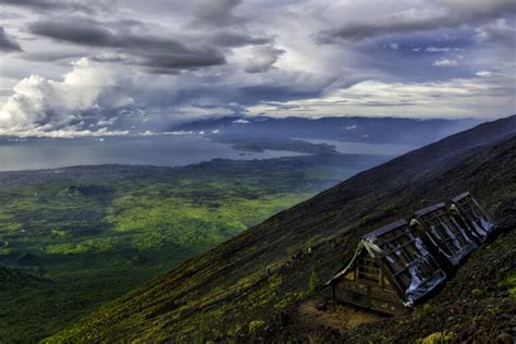 D Forester Le Parc Des Virunga En Rdc Une Question De Survie Pour Les