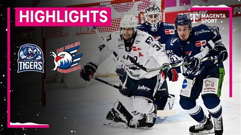 Straubing Tigers Adler Mannheim PENNY DEL MAGENTA SPORT YouTube