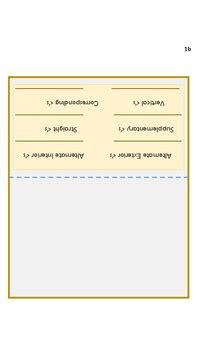 Transversals Foldable Notes By Alexandra Shunk Tpt