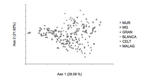 Graphic Representation Of The Factorial Correspondence Analysis Of