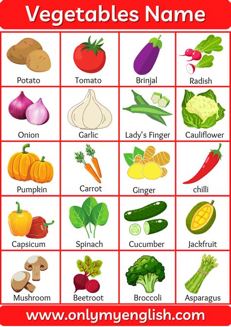 List Of Vegetables Name In English And Hindi English Lessons