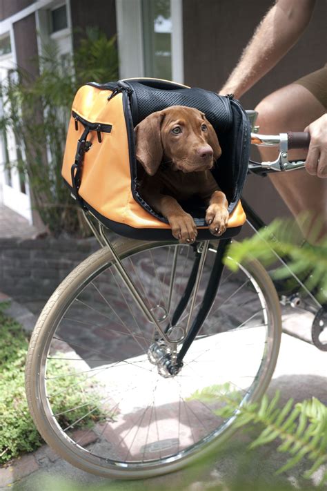 Dog Carrier For Bike Frame at Nora Ann blog
