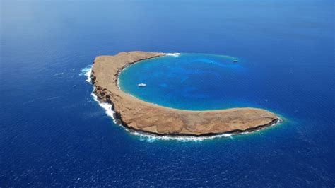 Snorkeling Molokini Crater: Maui's Underwater Gem