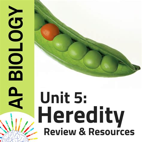 Ap Biology Unit 5 Review Resources Heredity And Genetics